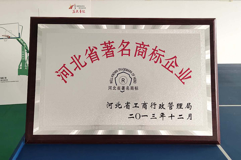 晟大华健